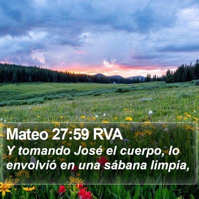 Mateo 27:59 RVA Bible Verse Image