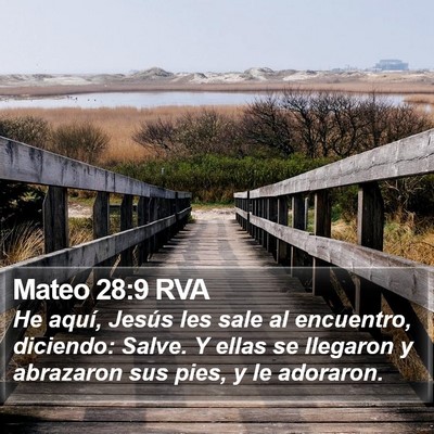 Mateo 28:9 RVA Bible Verse Image