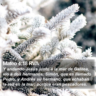 Mateo 4:18 RVA Bible Verse Image