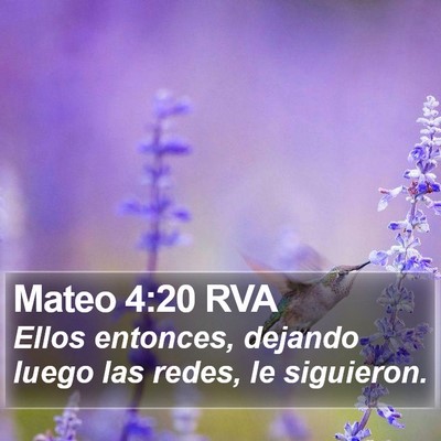 Mateo 4:20 RVA Bible Verse Image
