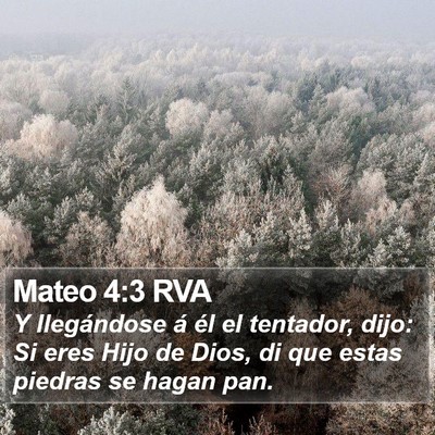 Mateo 4:3 RVA Bible Verse Image