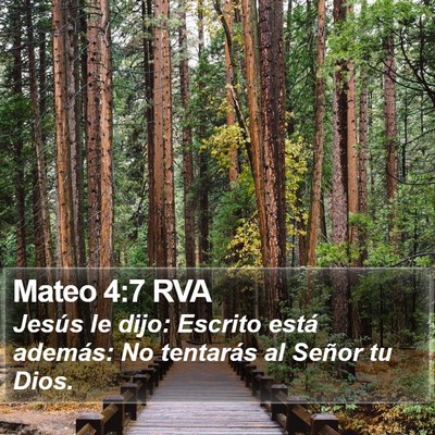 Mateo 4:7 RVA Bible Verse Image
