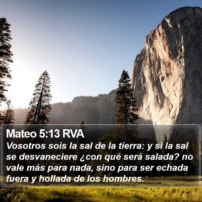 Mateo 5:13 RVA Bible Verse Image