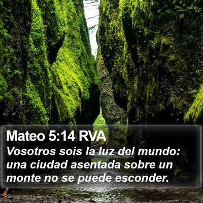 Mateo 5:14 RVA Bible Verse Image
