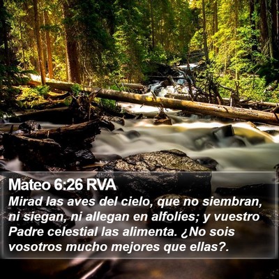 Mateo 6:26 RVA Bible Verse Image