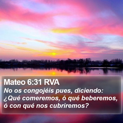 Mateo 6:31 RVA Bible Verse Image