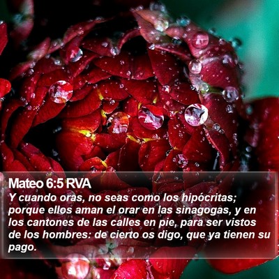 Mateo 6:5 RVA Bible Verse Image