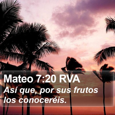 Mateo 7:20 RVA Bible Verse Image