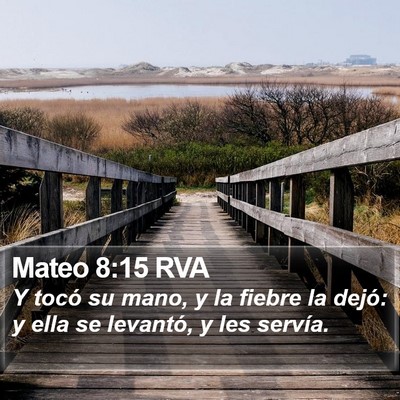 Mateo 8:15 RVA Bible Verse Image