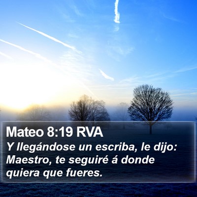 Mateo 8:19 RVA Bible Verse Image