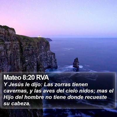 Mateo 8:20 RVA Bible Verse Image