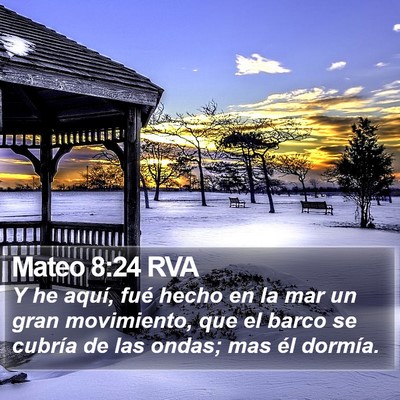 Mateo 8:24 RVA Bible Verse Image