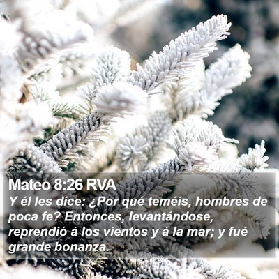 Mateo 8:26 RVA Bible Verse Image
