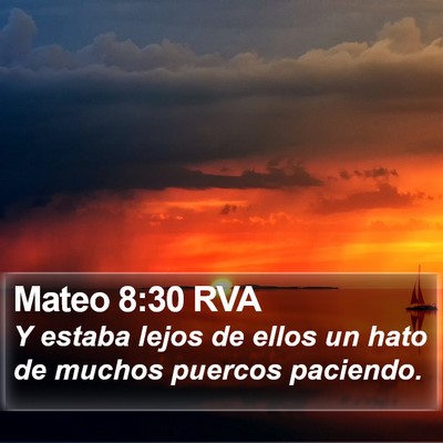 Mateo 8:30 RVA Bible Verse Image