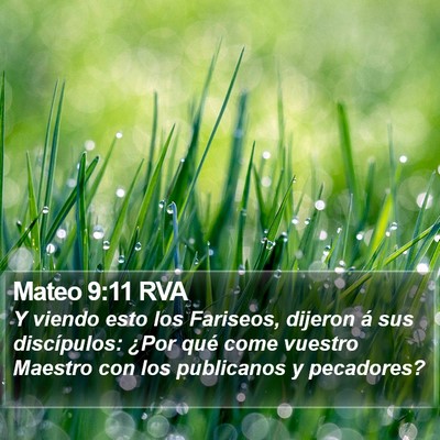 Mateo 9:11 RVA Bible Verse Image