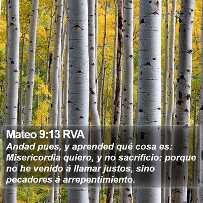 Mateo 9:13 RVA Bible Verse Image