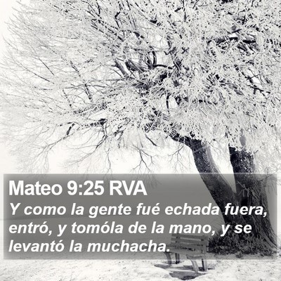 Mateo 9:25 RVA Bible Verse Image