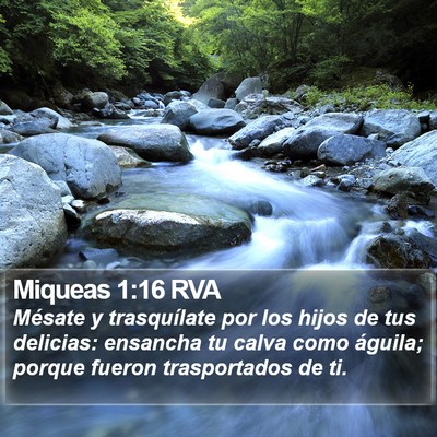 Miqueas 1:16 RVA Bible Verse Image