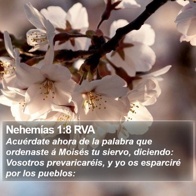 Nehemías 1:8 RVA Bible Verse Image