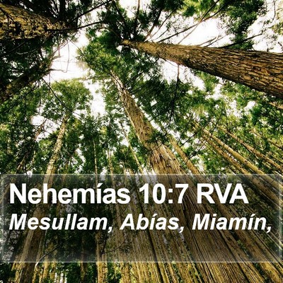 Nehemías 10:7 RVA Bible Verse Image