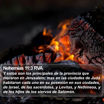 Nehemías 11:3 RVA Bible Verse Image