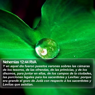 Nehemías 12:44 RVA Bible Verse Image
