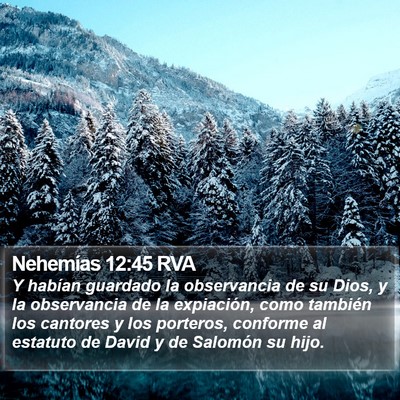 Nehemías 12:45 RVA Bible Verse Image