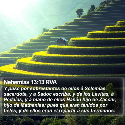 Nehemías 13:13 RVA Bible Verse Image