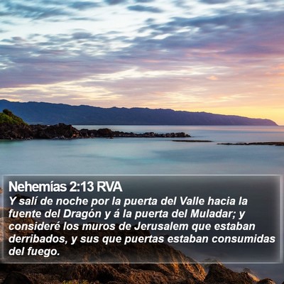 Nehemías 2:13 RVA Bible Verse Image