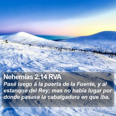 Nehemías 2:14 RVA Bible Verse Image