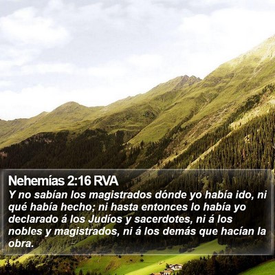Nehemías 2:16 RVA Bible Verse Image