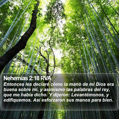Nehemías 2:18 RVA Bible Verse Image