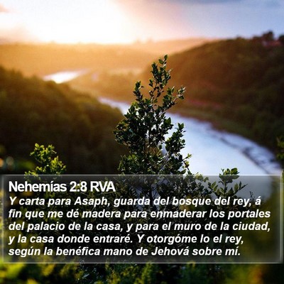 Nehemías 2:8 RVA Bible Verse Image