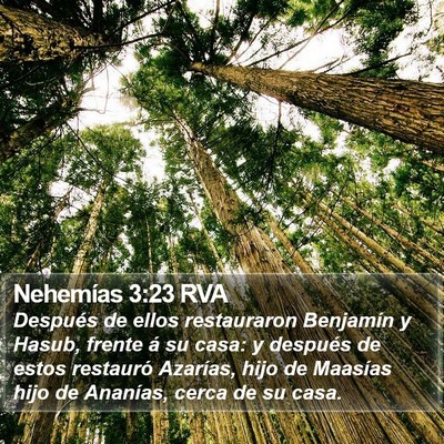 Nehemías 3:23 RVA Bible Verse Image