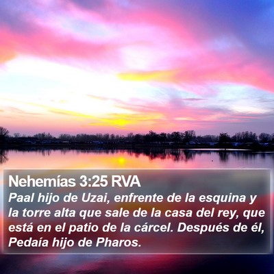 Nehemías 3:25 RVA Bible Verse Image
