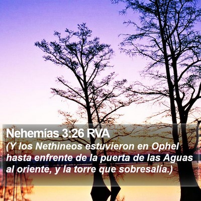 Nehemías 3:26 RVA Bible Verse Image