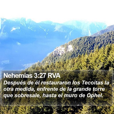 Nehemías 3:27 RVA Bible Verse Image