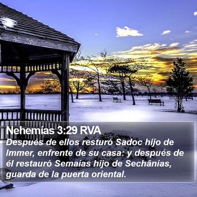 Nehemías 3:29 RVA Bible Verse Image