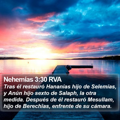 Nehemías 3:30 RVA Bible Verse Image