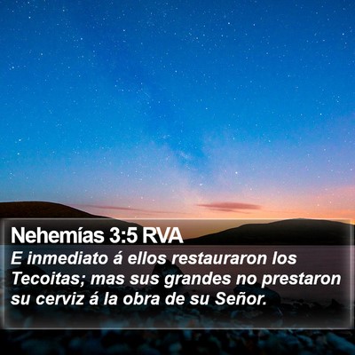 Nehemías 3:5 RVA Bible Verse Image