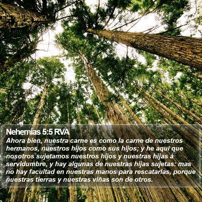Nehemías 5:5 RVA Bible Verse Image
