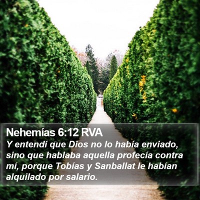 Nehemías 6:12 RVA Bible Verse Image