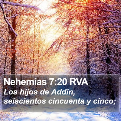 Nehemías 7:20 RVA Bible Verse Image