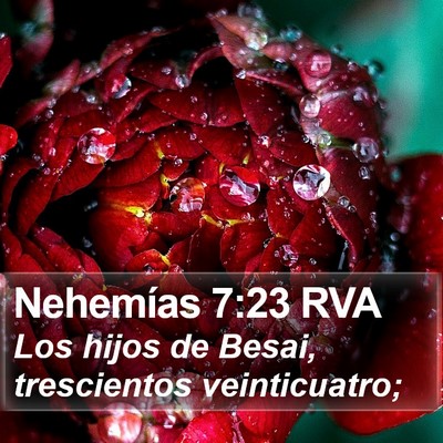 Nehemías 7:23 RVA Bible Verse Image