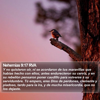 Nehemías 9:17 RVA Bible Verse Image