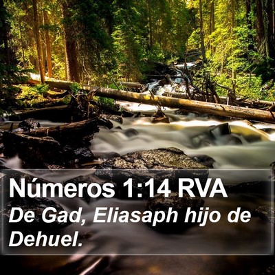 Números 1:14 RVA Bible Verse Image