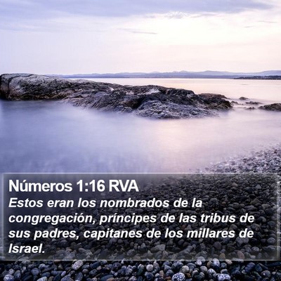 Números 1:16 RVA Bible Verse Image