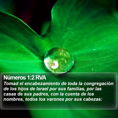 Números 1:2 RVA Bible Verse Image