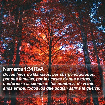 Números 1:34 RVA Bible Verse Image