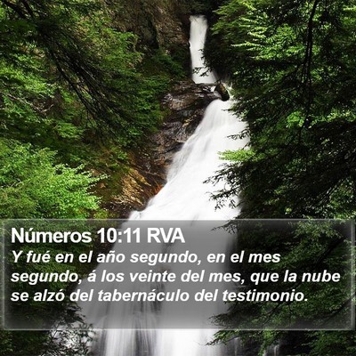 Números 10:11 RVA Bible Verse Image